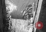 Immagine di Alewives Maine United States USA, 1957, secondo 38 filmato di repertorio 65675071463