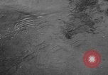 Immagine di Alewives Maine United States USA, 1957, secondo 39 filmato di repertorio 65675071463