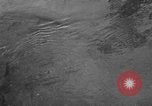 Immagine di Alewives Maine United States USA, 1957, secondo 41 filmato di repertorio 65675071463