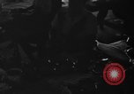 Image of street scenes Port-au-Prince Haiti, 1953, second 42 stock footage video 65675071475