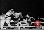 Image of Boxing cats West Orange New Jersey USA, 1894, second 4 stock footage video 65675071490