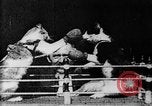 Image of Boxing cats West Orange New Jersey USA, 1894, second 7 stock footage video 65675071490