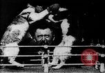 Image of Boxing cats West Orange New Jersey USA, 1894, second 9 stock footage video 65675071490