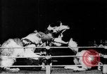 Image of Boxing cats West Orange New Jersey USA, 1894, second 13 stock footage video 65675071490