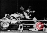 Image of Boxing cats West Orange New Jersey USA, 1894, second 14 stock footage video 65675071490