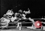 Image of Boxing cats West Orange New Jersey USA, 1894, second 16 stock footage video 65675071490