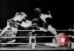 Image of Boxing cats West Orange New Jersey USA, 1894, second 17 stock footage video 65675071490