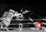 Image of Boxing cats West Orange New Jersey USA, 1894, second 18 stock footage video 65675071490