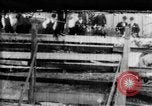 Immagine di Strappi Bronco West Orange New Jersey USA, 1894, secondo 1 filmato di repertorio 65675071499