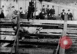 Immagine di Strappi Bronco West Orange New Jersey USA, 1894, secondo 4 filmato di repertorio 65675071499