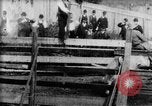 Immagine di Strappi Bronco West Orange New Jersey USA, 1894, secondo 5 filmato di repertorio 65675071499