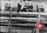 Immagine di Strappi Bronco West Orange New Jersey USA, 1894, secondo 6 filmato di repertorio 65675071499