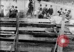 Immagine di Strappi Bronco West Orange New Jersey USA, 1894, secondo 7 filmato di repertorio 65675071499