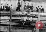 Immagine di Strappi Bronco West Orange New Jersey USA, 1894, secondo 8 filmato di repertorio 65675071499