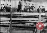 Immagine di Strappi Bronco West Orange New Jersey USA, 1894, secondo 10 filmato di repertorio 65675071499