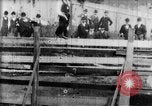 Immagine di Strappi Bronco West Orange New Jersey USA, 1894, secondo 11 filmato di repertorio 65675071499