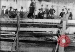 Immagine di Strappi Bronco West Orange New Jersey USA, 1894, secondo 12 filmato di repertorio 65675071499