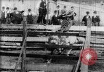 Immagine di Strappi Bronco West Orange New Jersey USA, 1894, secondo 13 filmato di repertorio 65675071499