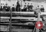 Immagine di Strappi Bronco West Orange New Jersey USA, 1894, secondo 15 filmato di repertorio 65675071499