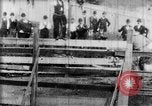 Immagine di Strappi Bronco West Orange New Jersey USA, 1894, secondo 16 filmato di repertorio 65675071499