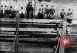 Immagine di Strappi Bronco West Orange New Jersey USA, 1894, secondo 17 filmato di repertorio 65675071499