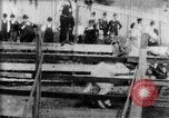 Immagine di Strappi Bronco West Orange New Jersey USA, 1894, secondo 18 filmato di repertorio 65675071499