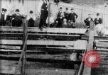 Immagine di Strappi Bronco West Orange New Jersey USA, 1894, secondo 20 filmato di repertorio 65675071499