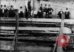 Immagine di Strappi Bronco West Orange New Jersey USA, 1894, secondo 21 filmato di repertorio 65675071499