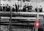 Immagine di Strappi Bronco West Orange New Jersey USA, 1894, secondo 22 filmato di repertorio 65675071499