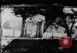 Immagine di Fisherman Fanwood New Jersey USA, 1896, secondo 1 filmato di repertorio 65675071513
