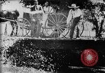 Immagine di Fisherman Fanwood New Jersey USA, 1896, secondo 35 filmato di repertorio 65675071513