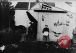 Image of Farmyard scene New Jersey United States USA, 1896, second 4 stock footage video 65675071515