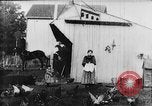 Image of Farmyard scene New Jersey United States USA, 1896, second 10 stock footage video 65675071515
