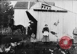 Image of Farmyard scene New Jersey United States USA, 1896, second 12 stock footage video 65675071515