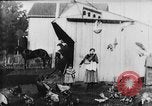 Image of Farmyard scene New Jersey United States USA, 1896, second 14 stock footage video 65675071515