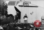Image of Farmyard scene New Jersey United States USA, 1896, second 19 stock footage video 65675071515