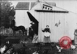 Image of Farmyard scene New Jersey United States USA, 1896, second 25 stock footage video 65675071515