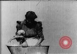 Image of African American mother New Jersey United States USA, 1896, second 7 stock footage video 65675071516