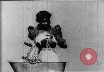 Image of African American mother New Jersey United States USA, 1896, second 11 stock footage video 65675071516