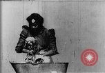 Image of African American mother New Jersey United States USA, 1896, second 19 stock footage video 65675071516