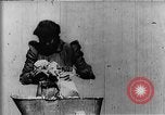 Image of African American mother New Jersey United States USA, 1896, second 20 stock footage video 65675071516