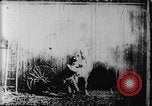 Image of Barn on fire New Jersey United States USA, 1896, second 5 stock footage video 65675071517