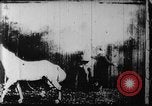 Image of Barn on fire New Jersey United States USA, 1896, second 7 stock footage video 65675071517