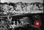 Standbild Niagara Falls United States USA, 1896, aus Sekunde 3 historischem Filmmaterial Videoclip 65675071521