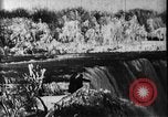 Standbild Niagara Falls United States USA, 1896, aus Sekunde 9 historischem Filmmaterial Videoclip 65675071521
