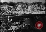 Standbild Niagara Falls United States USA, 1896, aus Sekunde 10 historischem Filmmaterial Videoclip 65675071521