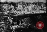 Standbild Niagara Falls United States USA, 1896, aus Sekunde 16 historischem Filmmaterial Videoclip 65675071521