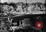 Standbild Niagara Falls United States USA, 1896, aus Sekunde 17 historischem Filmmaterial Videoclip 65675071521