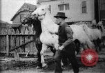 Immagine di Piazzale di stoccaggio Buffalo New York USA, 1897, secondo 22 filmato di repertorio 65675071528