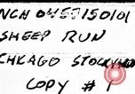 Image of Chicago stockyards Chicago Illinois USA, 1897, second 1 stock footage video 65675071534